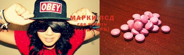 сатива Абинск