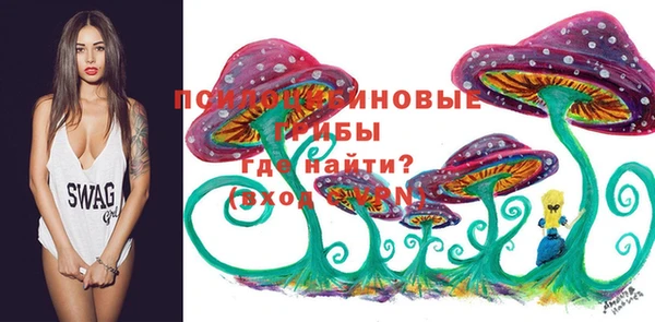 дурь Алексин